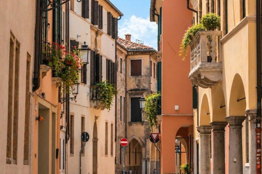 A narrow street with buildings, a no-entry sign, and hanging plants. 3