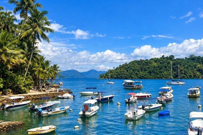 A tropical beach with numerous boats docked, palm trees, and a clear blue sky. 2