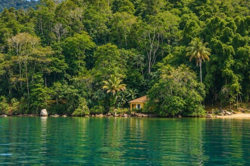 A tropical beach with dense greenery and a small yellow house by the water. 3