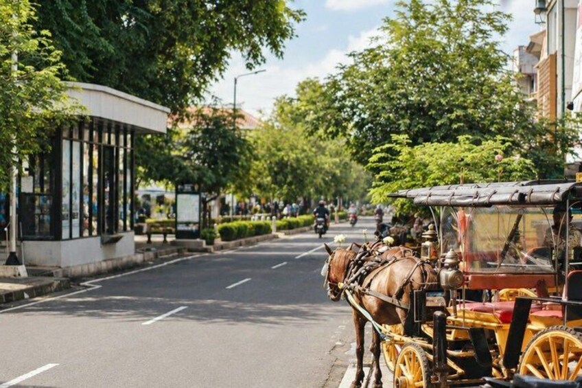 A horse-drawn carriage on a city street, a covered bus stop, and trees lining the road. 3