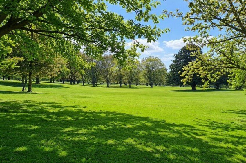 A park with green grass, trees, and a clear sky. 3
