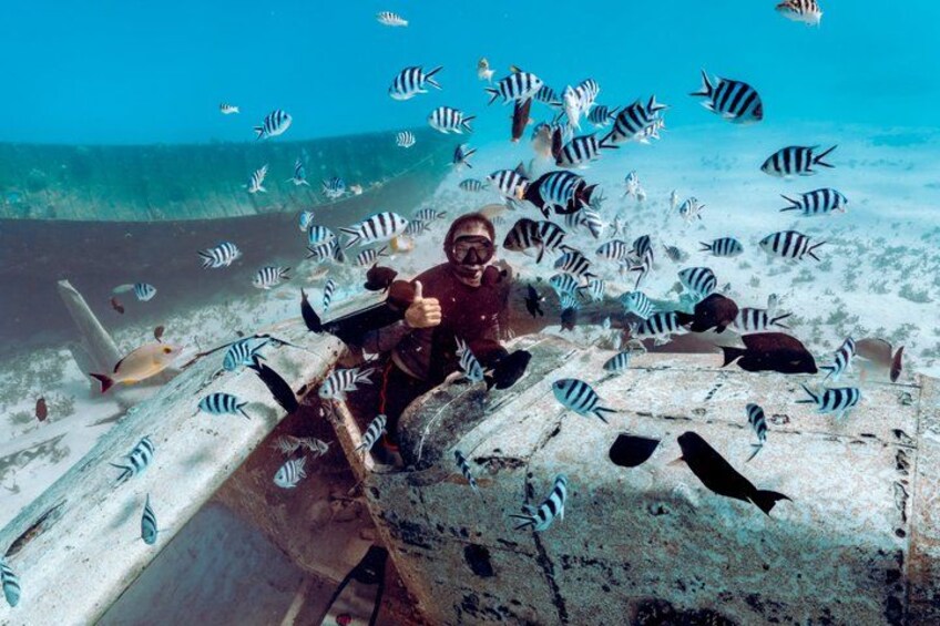 A diver surrounded by striped fish, underwater. 1