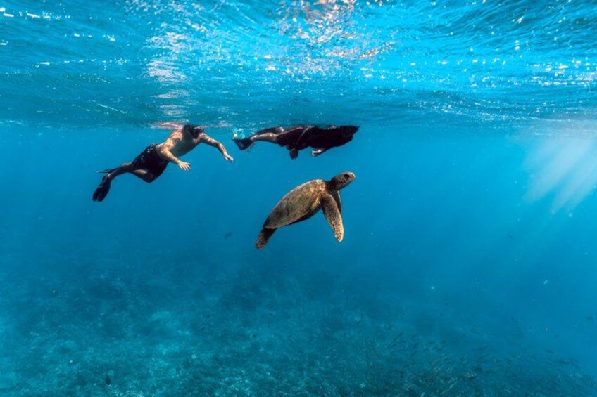 Three people swimming underwater with a sea turtle. 4