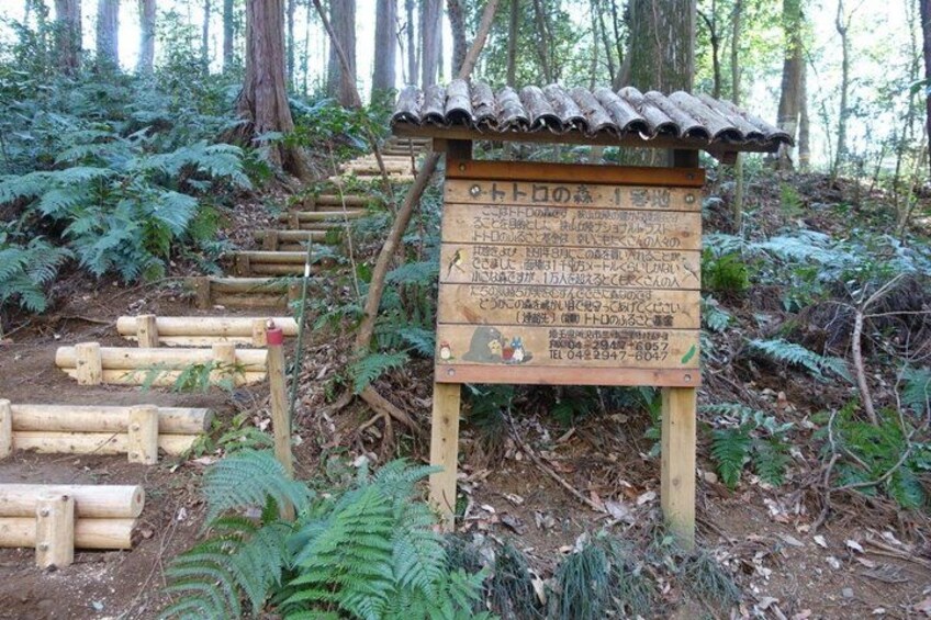 Tokyo Totoro Inspired Forest Lake Sayama and Local Tea Walk 1