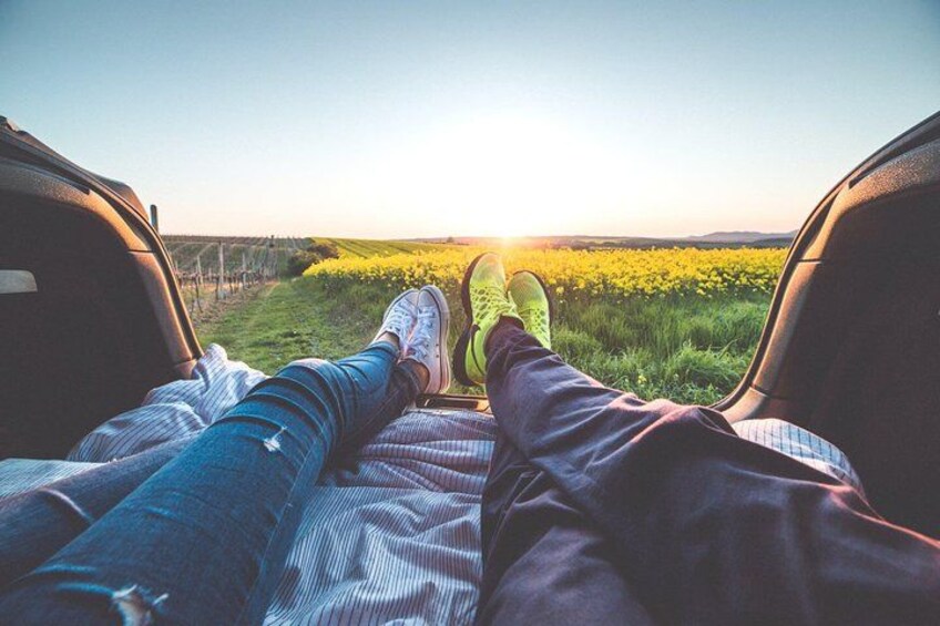 A person sitting in a car with their legs out the window, overlooking a field of yellow flowers. 1
