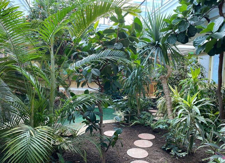 A lush indoor garden with various tropical plants, a small pond, and stepping stones. 4