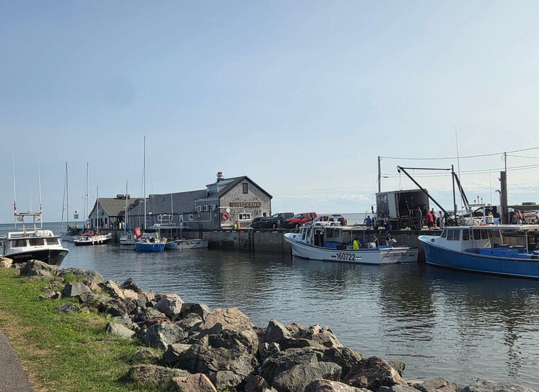 Un puerto con barcos amarrados, un edificio con el rótulo 'Lobster Barn' y costas rocosas. 1