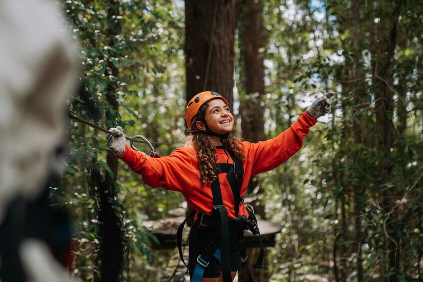 A person in a forest with outstretched arms, wearing a helmet and harness, suggesting an outdoor activity like zip-lining or canopy access. 4
