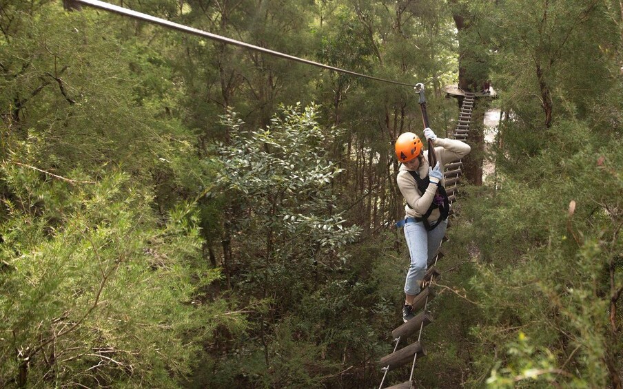 A person zip-lining through a forest. 5