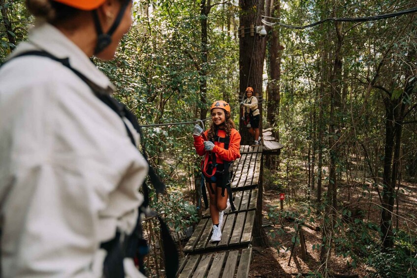 A forested area with a wooden bridge and people engaged in outdoor activities. 2
