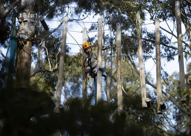 A person navigating an outdoor obstacle course with wooden poles and ropes. 1