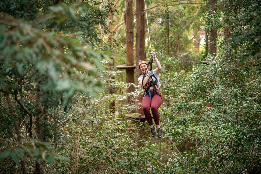 A person zip-lining through a forest. 3