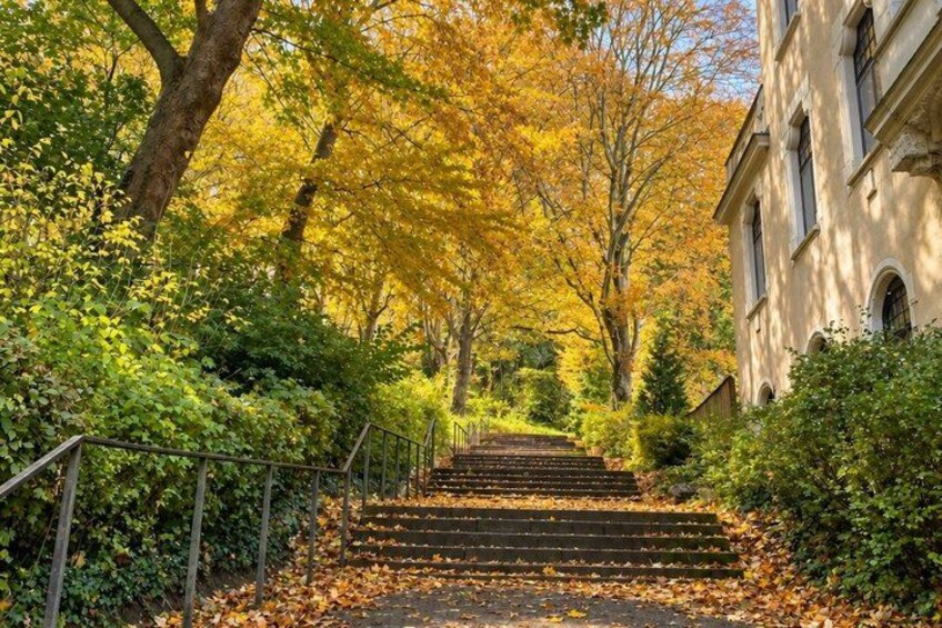 A set of wooden stairs leading up to a building surrounded by autumn foliage. 3