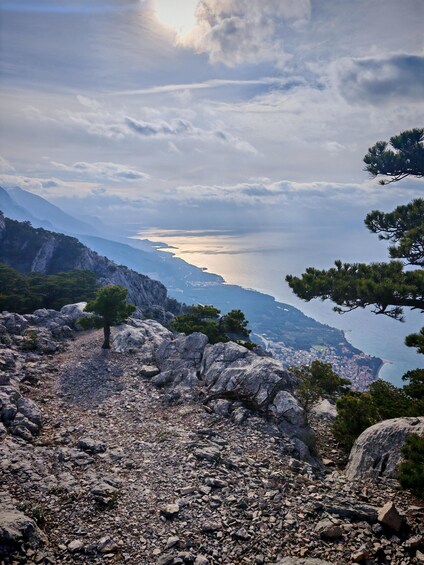 A rocky terrain with scattered trees, a coastal city in the distance, and a cloudy sky. 3