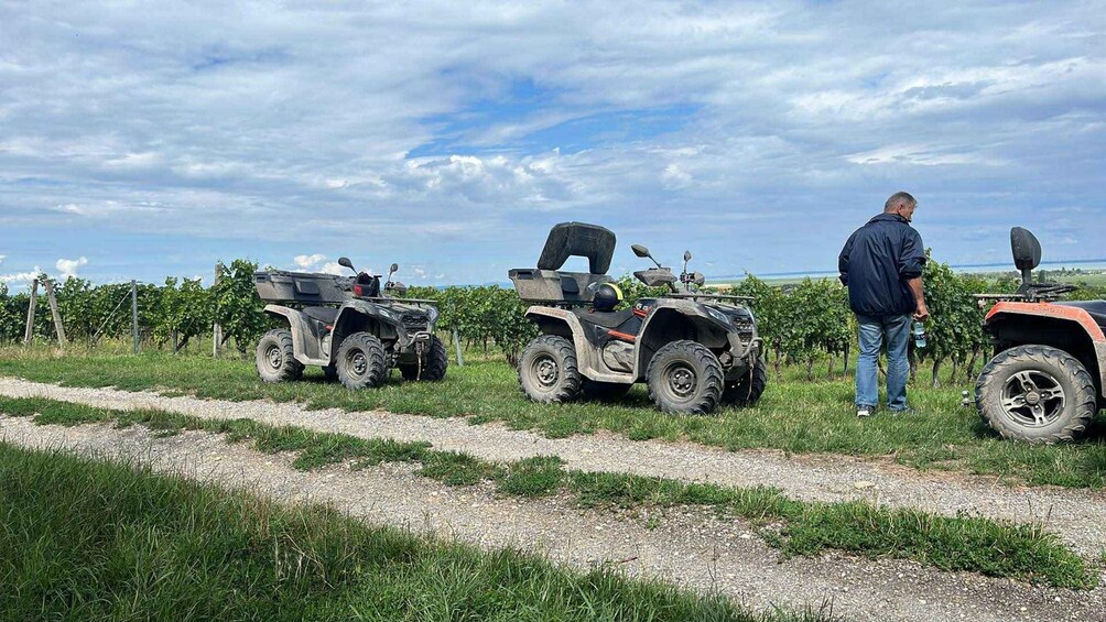 Three off-road vehicles parked on a gravel path in a vineyard. 5