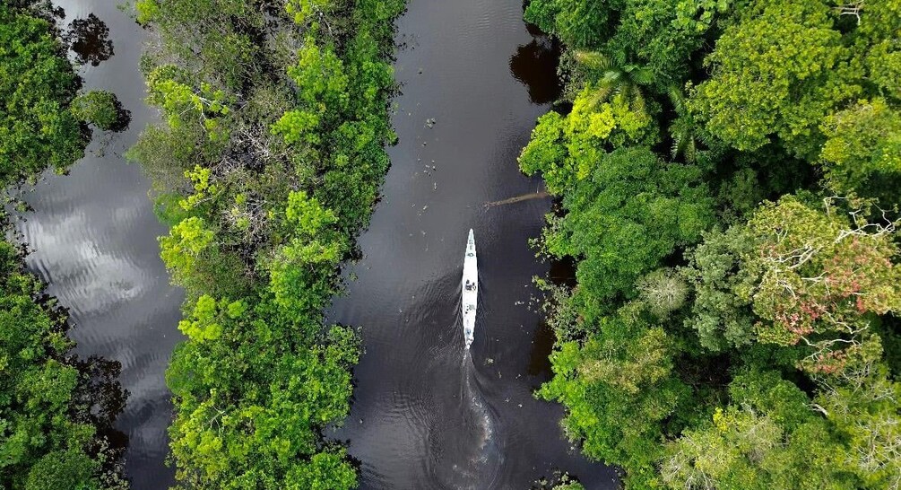 A boat on a river surrounded by dense green foliage. 3