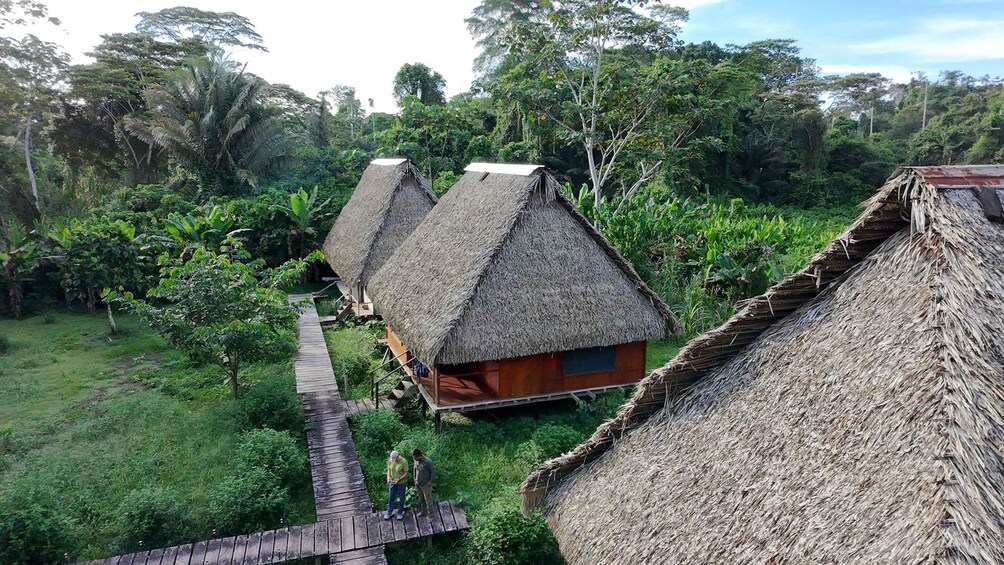 Thatched-roof huts in a lush green setting with a wooden walkway. 5