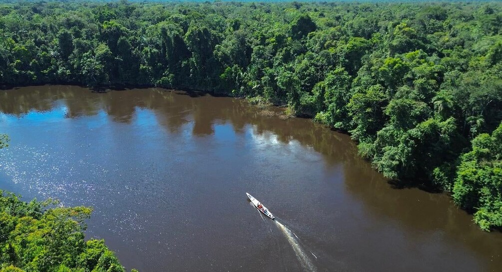 A river surrounded by dense forest, with a boat creating a wake. 1