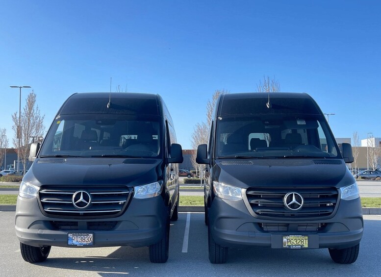 Two black Mercedes-Benz vans parked side by side in a parking lot with a clear blue sky. 1
