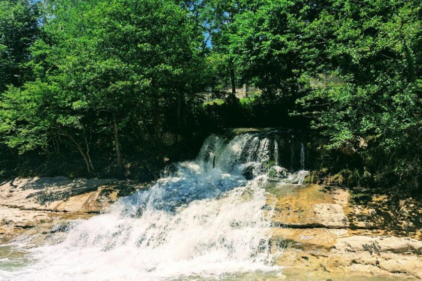 A waterfall surrounded by dense green foliage. 5
