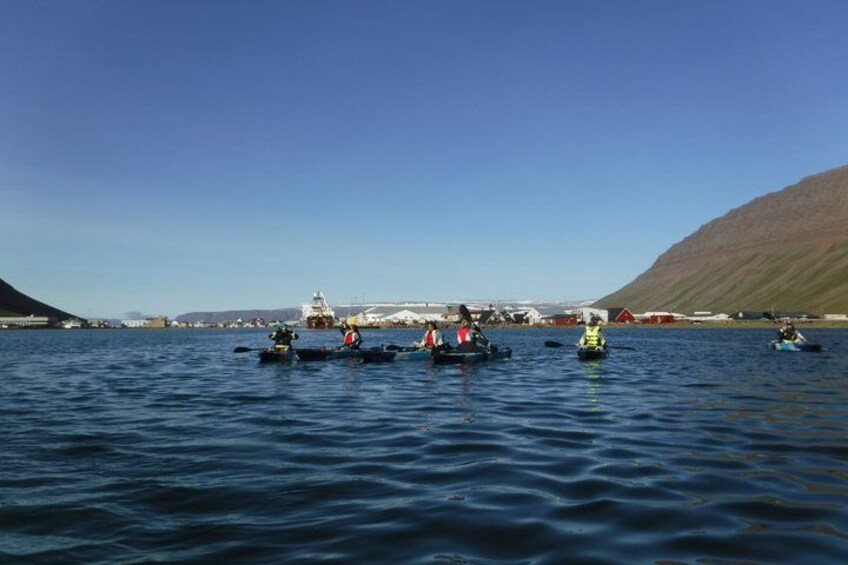 A group of kayaks on a calm body of water with a clear sky and distant buildings. 4