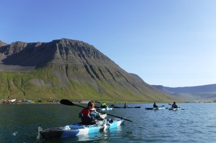 A group of kayakers on a calm lake with a mountain in the background. 2