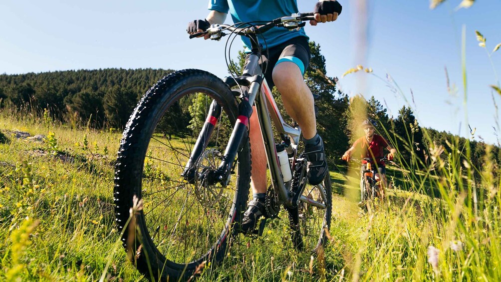 A mountain biker on a trail with a forested background. 1