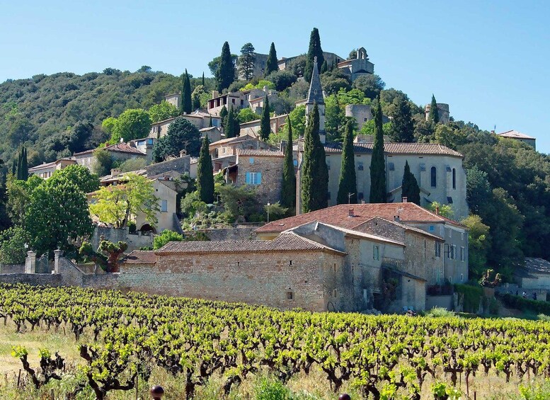 A hillside village with stone buildings, vineyards, and a prominent church. 3