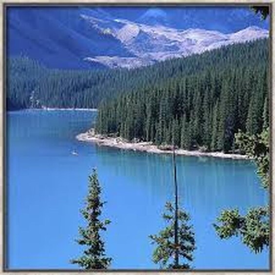 Un lac entouré d’une forêt dense et de montagnes aux sommets enneigés. 4