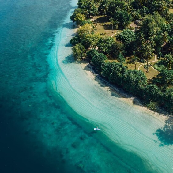 En tropisk strand med kristallklart turkosfärgat vatten, en sandstrand och tät vegetation. 4