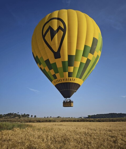 Un ballon à air chaud à motifs à carreaux, orné d’un logo, survolant un champ. 1