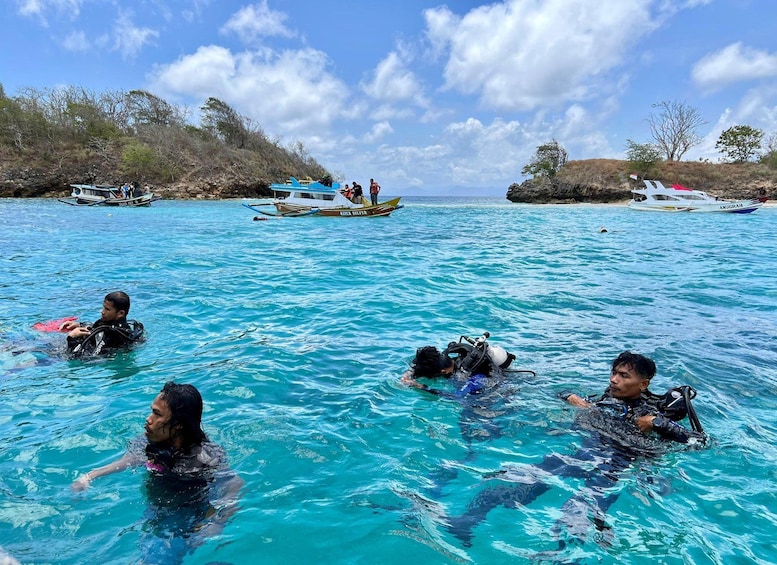 People swimming in clear blue water with boats in the background. 3