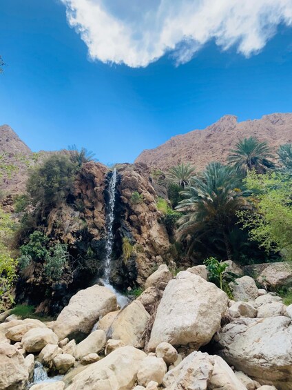 Une cascade se déversant le long d’une falaise rocheuse, entourée de palmiers et de plantes désertiques. 2
