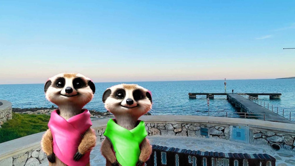 Two meerkats on a pier with a body of water and a distant shoreline in the background. 1