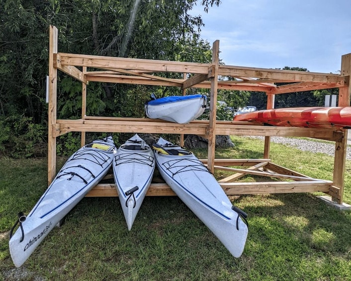 A wooden rack holding kayaks and a canoe in a grassy area with trees in the background. 2