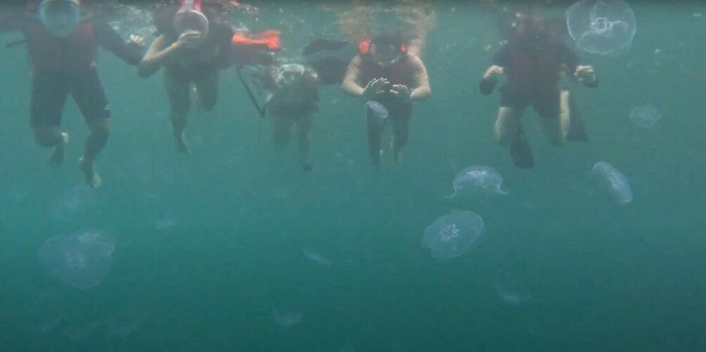 People snorkeling underwater. 5