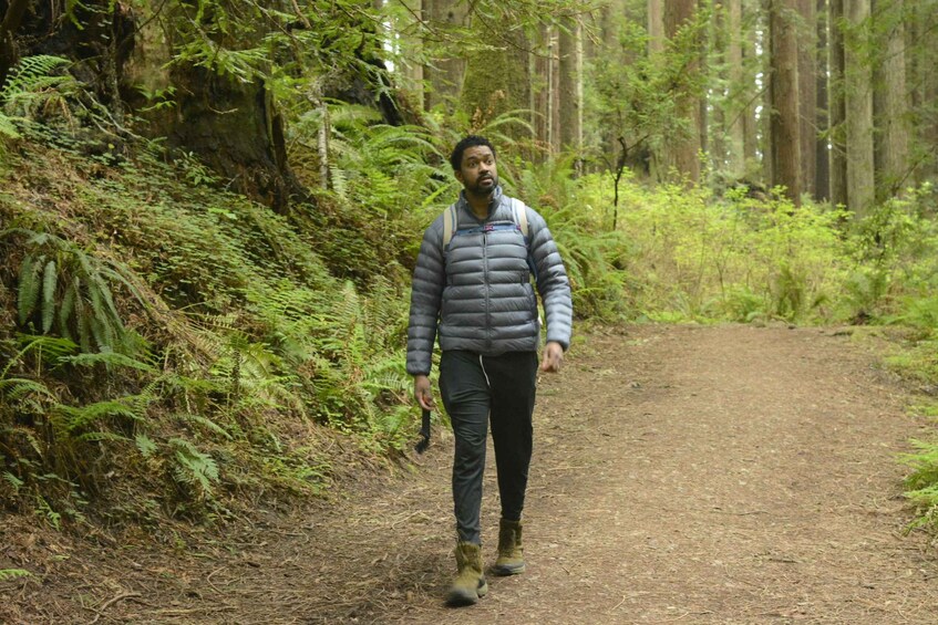 A person walking on a forest path surrounded by dense greenery and trees. 4