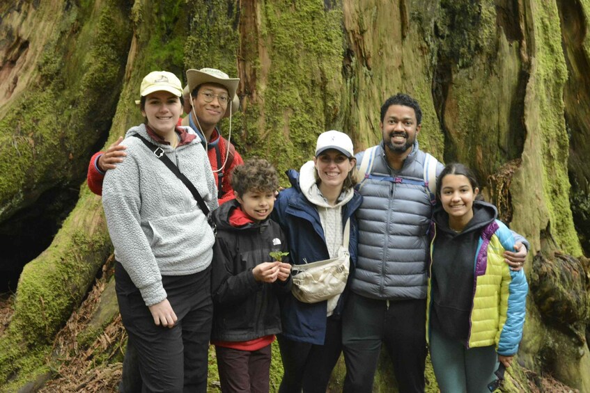 A group of people standing in front of a moss-covered rock formation. 5