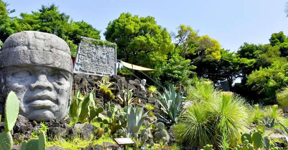 Una escultura de cabeza de piedra, un letrero con jeroglíficos y una variedad de cactus y suculentas. 2