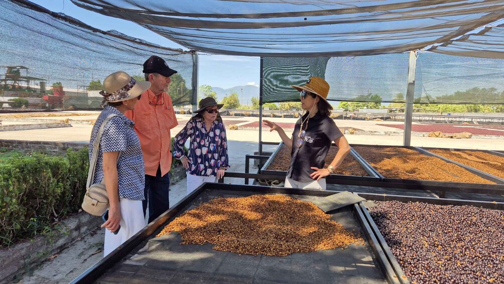 A group of people observing coffee beans in a processing facility. 3