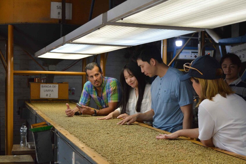 A group of people inspecting coffee beans in a processing facility. 1
