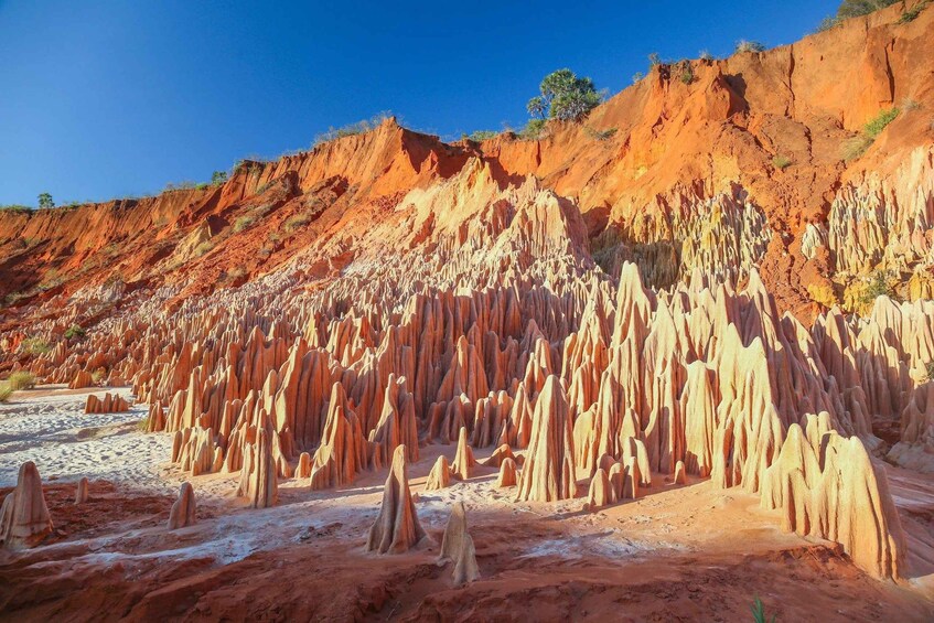 A landscape with red rock formations and sparse vegetation. 3