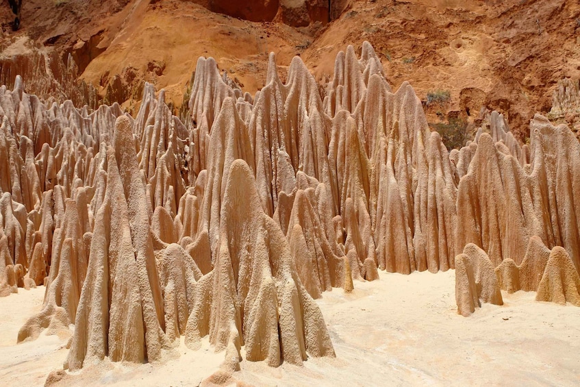 A landscape of tall, columnar rock formations. 1