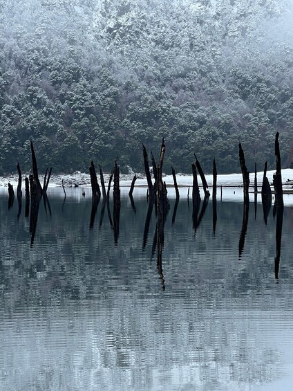 A calm lake with reflections of trees and a snowy landscape. 3