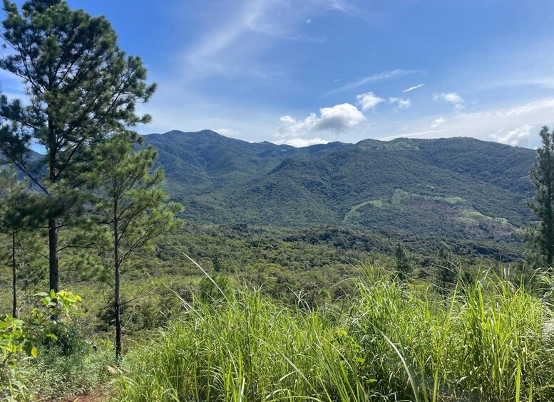 Picture 3 for Activity E-bike Coffee Tour in Boquete 3