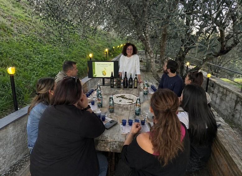 A group of people seated around a table with bottles and glasses, outdoors with trees and a stone wall in the background. 3