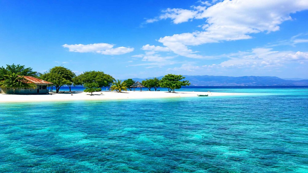 A tropical beach with clear turquoise waters, a small hut, and several trees. 3