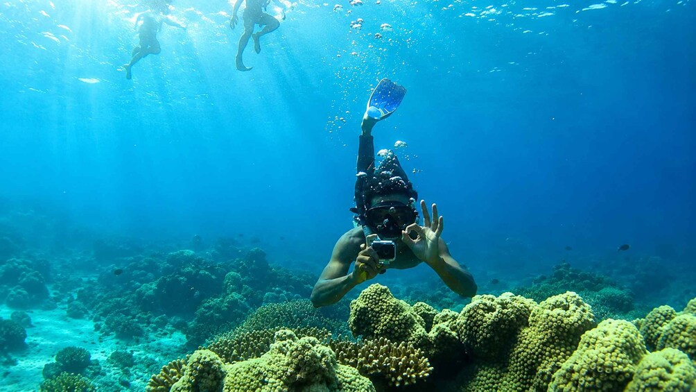 A diver taking a photo underwater with a camera, surrounded by coral reefs. 1