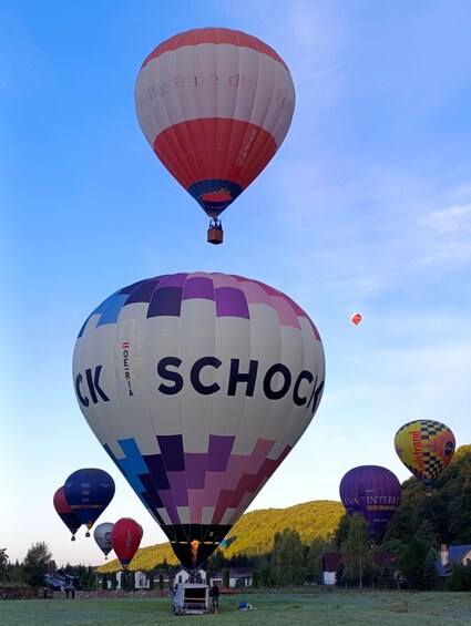 Multiple hot air balloons in a field with a mountainous backdrop. 1