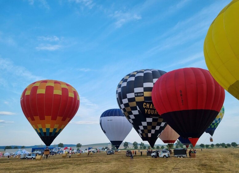 A field of colorful hot air balloons with people and vehicles around. 2